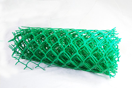 �����W(w��ng)